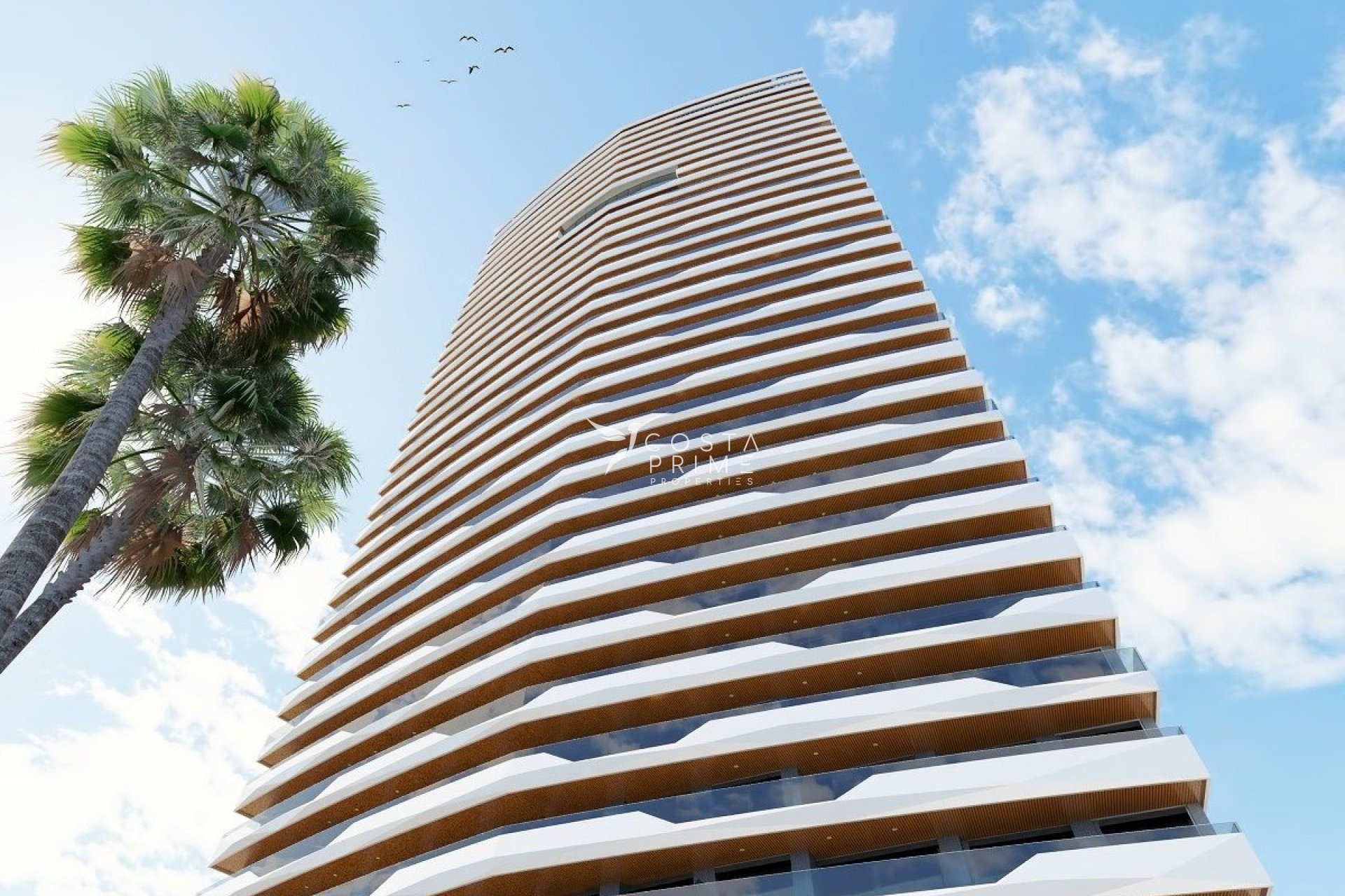 Obra nueva - Ático - Benidorm