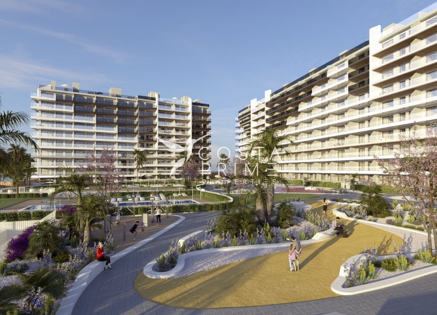 Obra nueva - Ático - Punta Prima