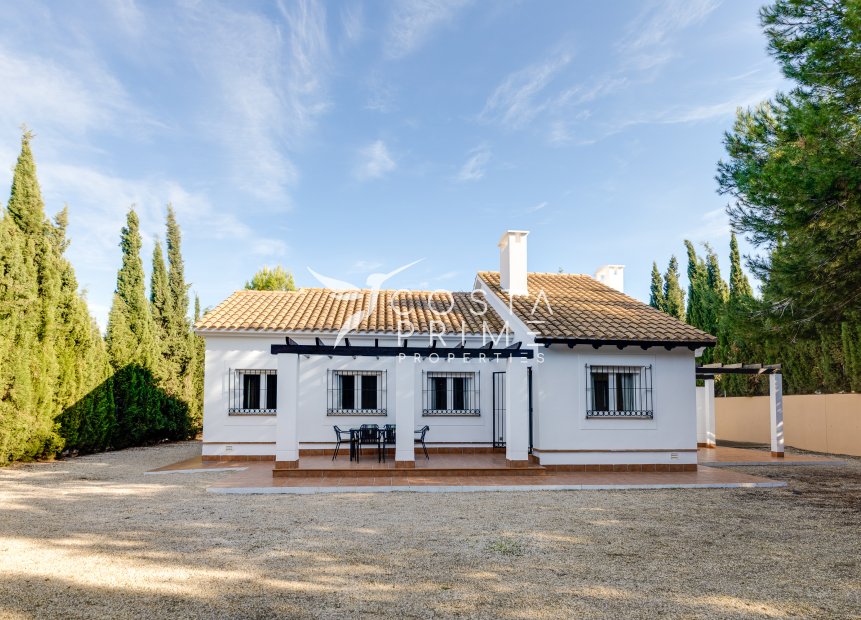 Obra nueva - Chalet / Villa - Fuente Álamo