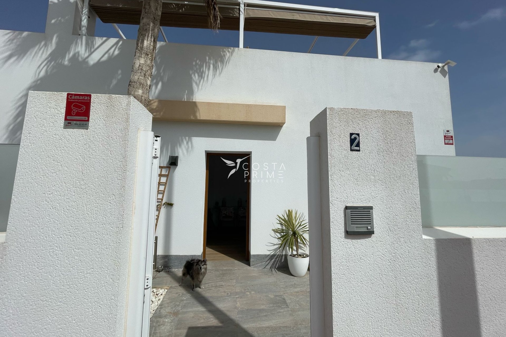 Obra nueva - Chalet / Villa - Murcia