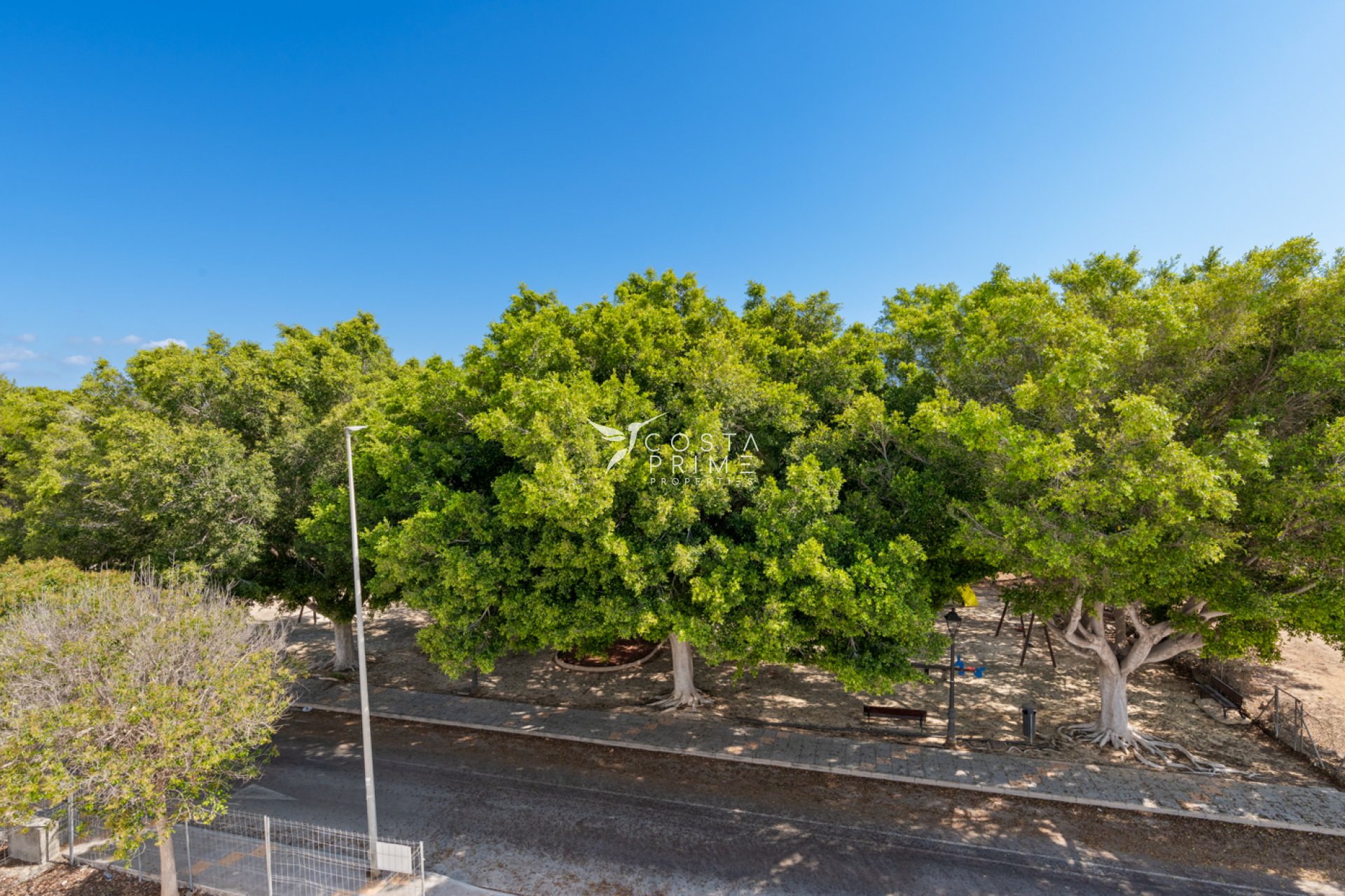 Obra nueva - Chalet / Villa - Pilar de la Horadada