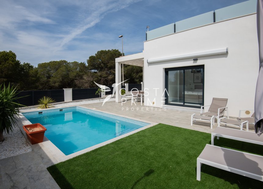 Obra nueva - Chalet / Villa - Pinar de Campoverde