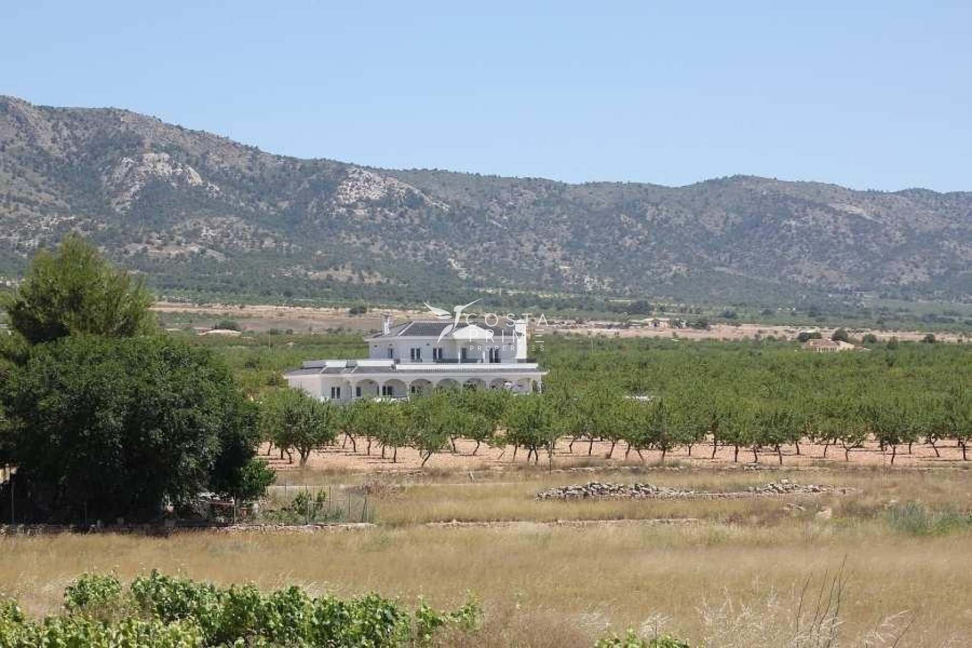 Obra nueva - Chalet / Villa - Pinoso