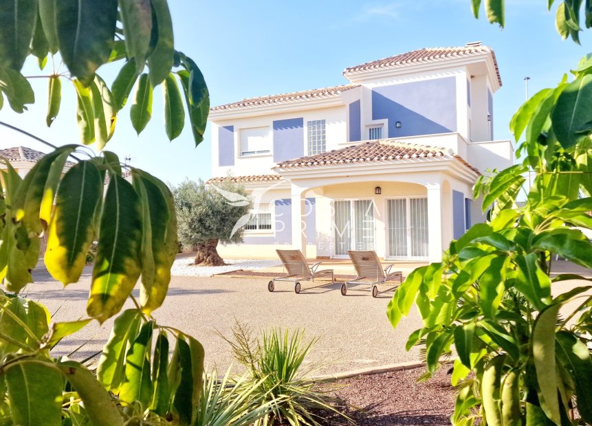 Obra nueva - Chalet / Villa - Purias