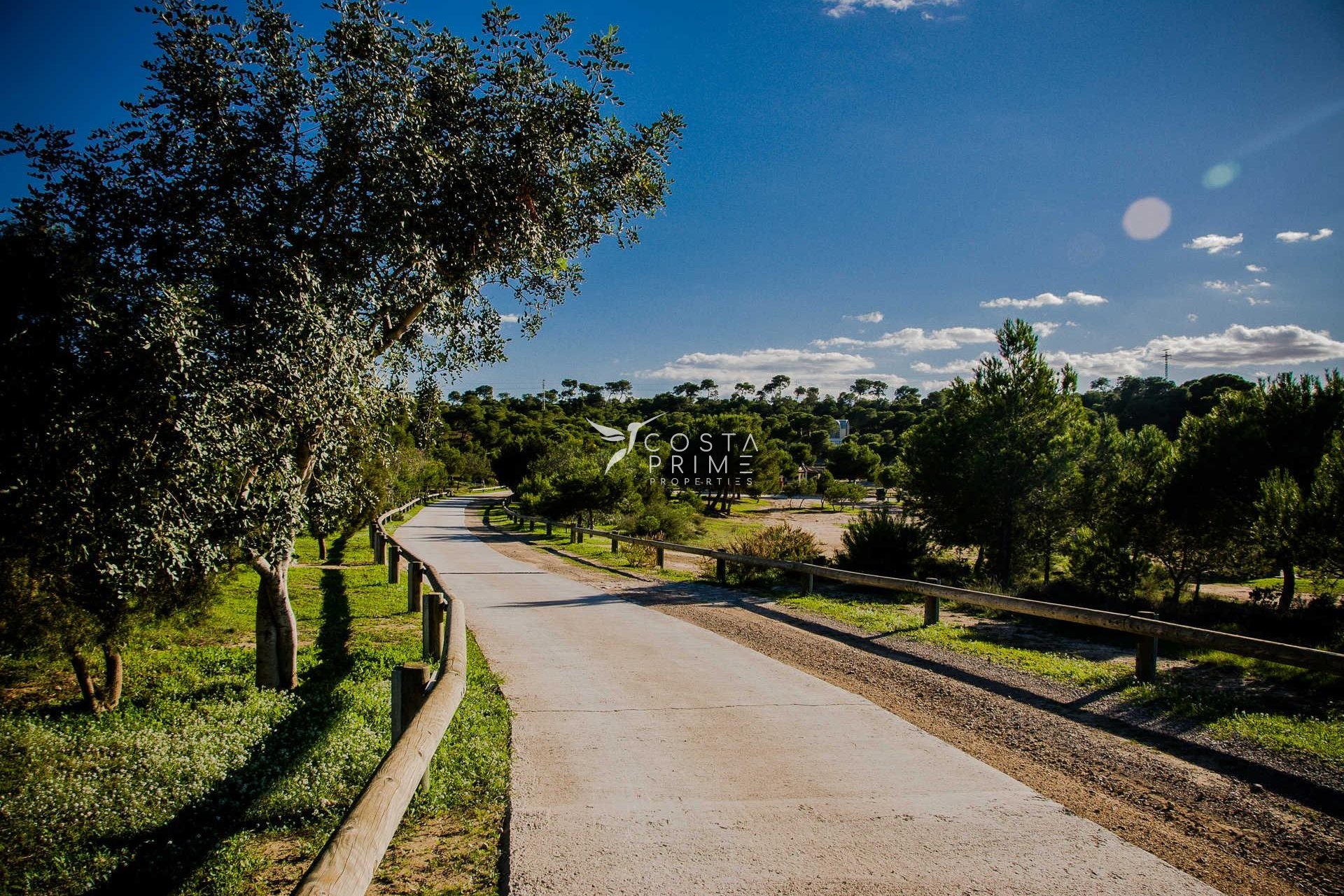 Obra nueva - Chalet / Villa - Rojales