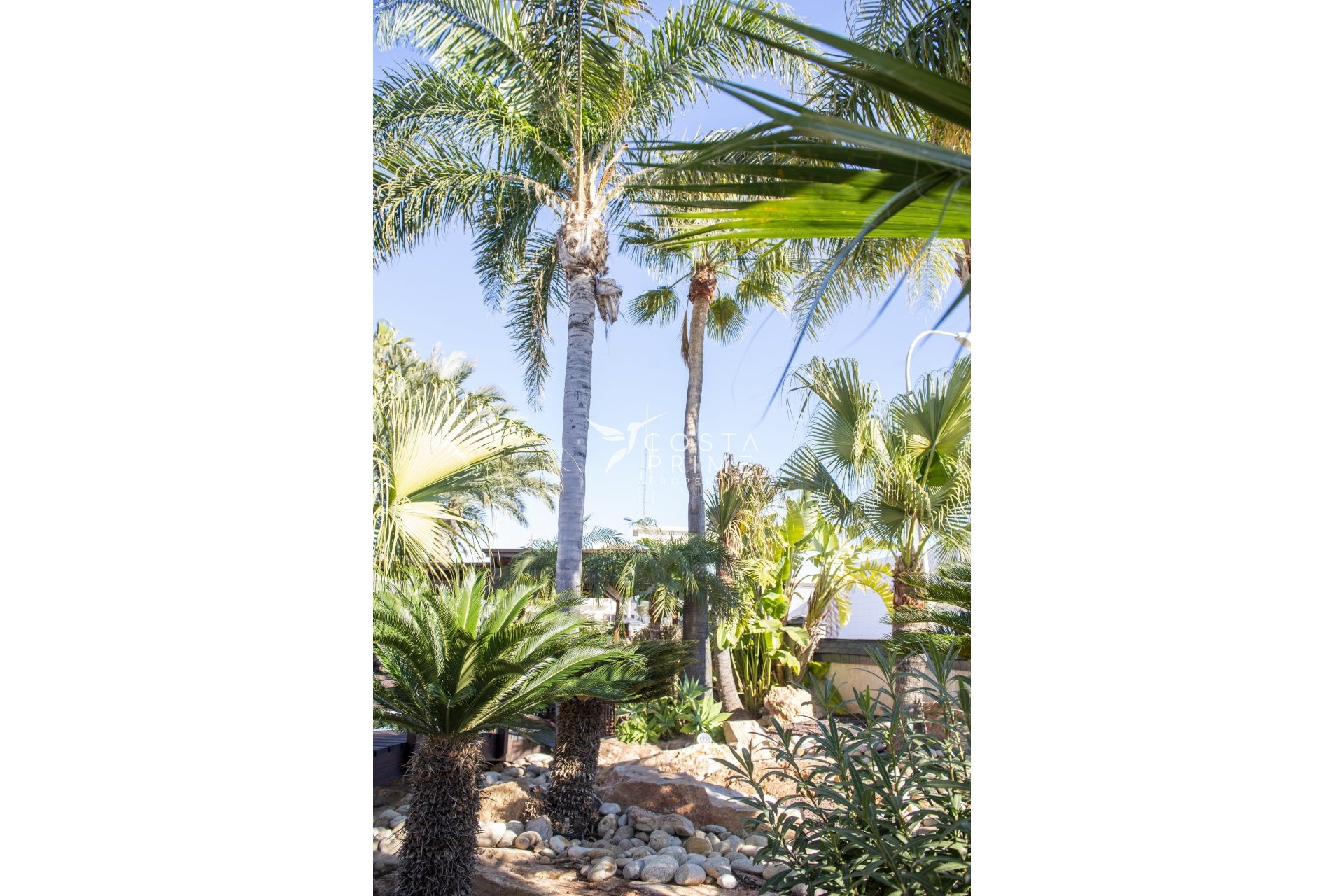 Obra nueva - Chalet / Villa - San Pedro del Pinatar