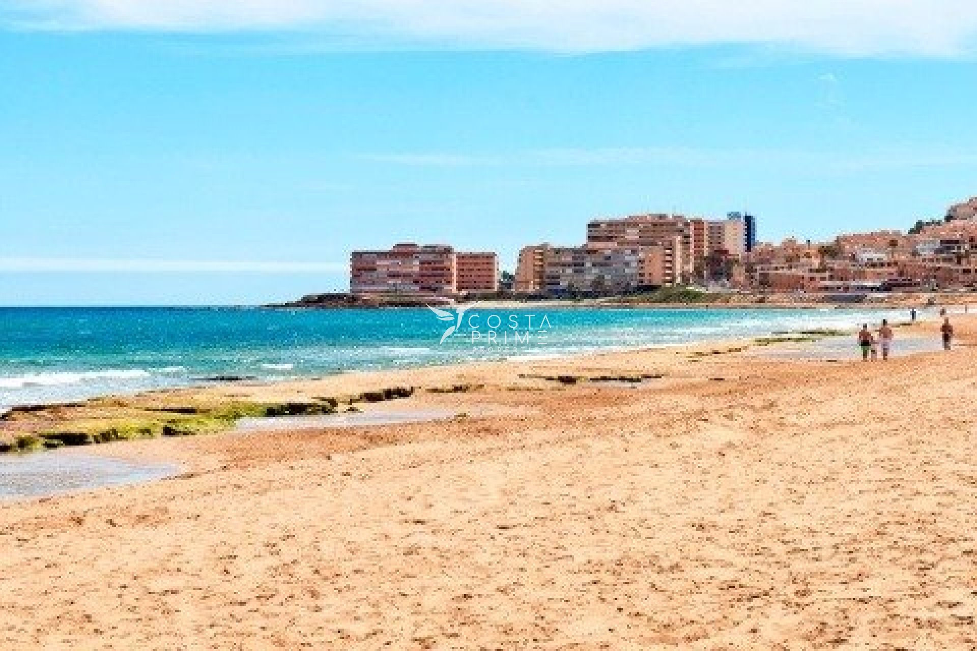 Obra nueva - Chalet / Villa - Torrevieja