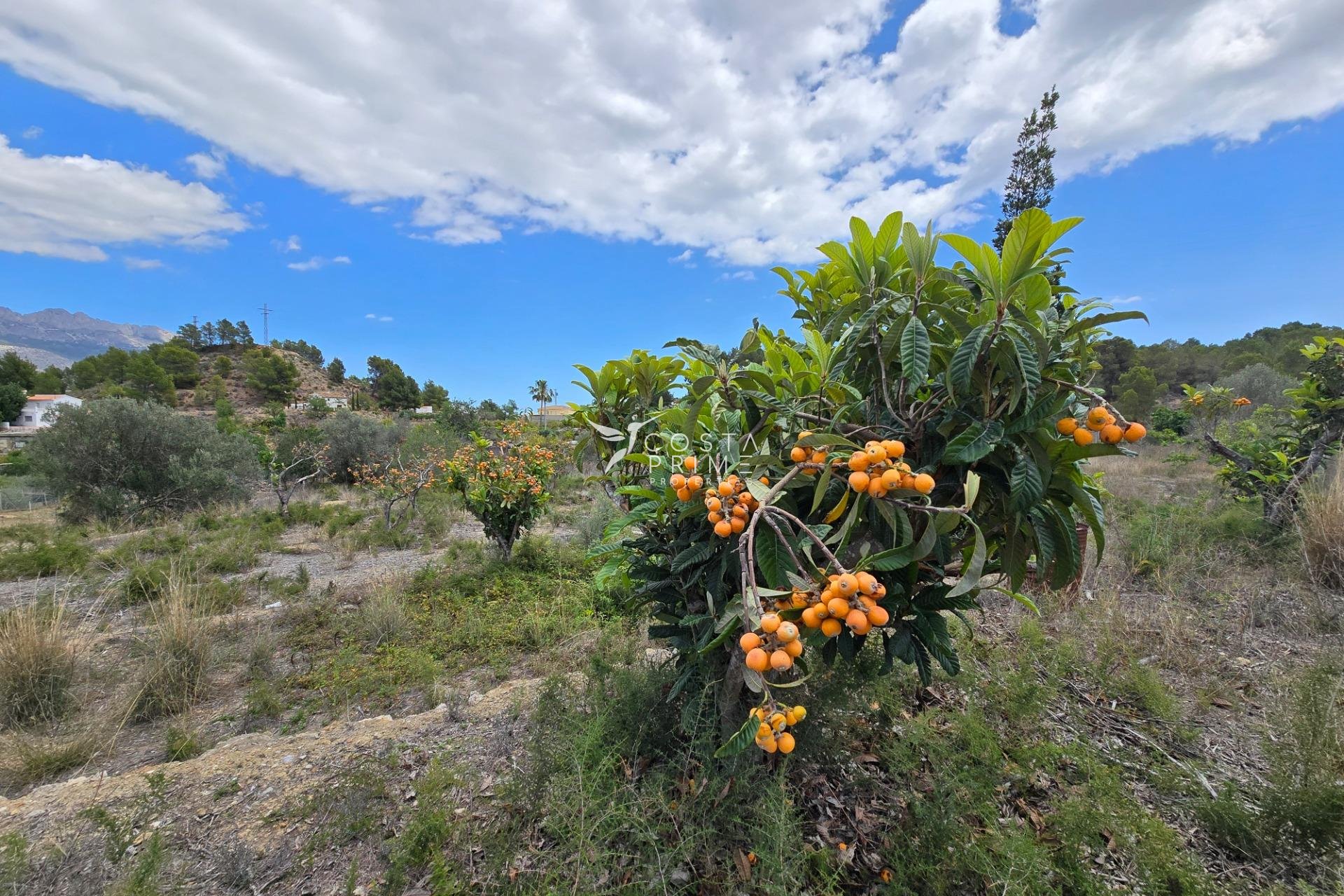 Odsprzedaż - Działka / Grunt - La Nucía