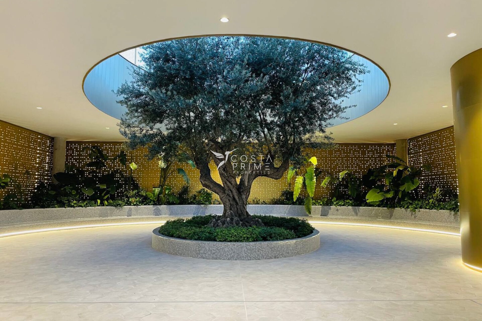 Odsprzedaż - Mieszkanie w Bloku - Benidorm