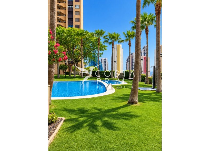 Odsprzedaż - Mieszkanie w Bloku - Benidorm