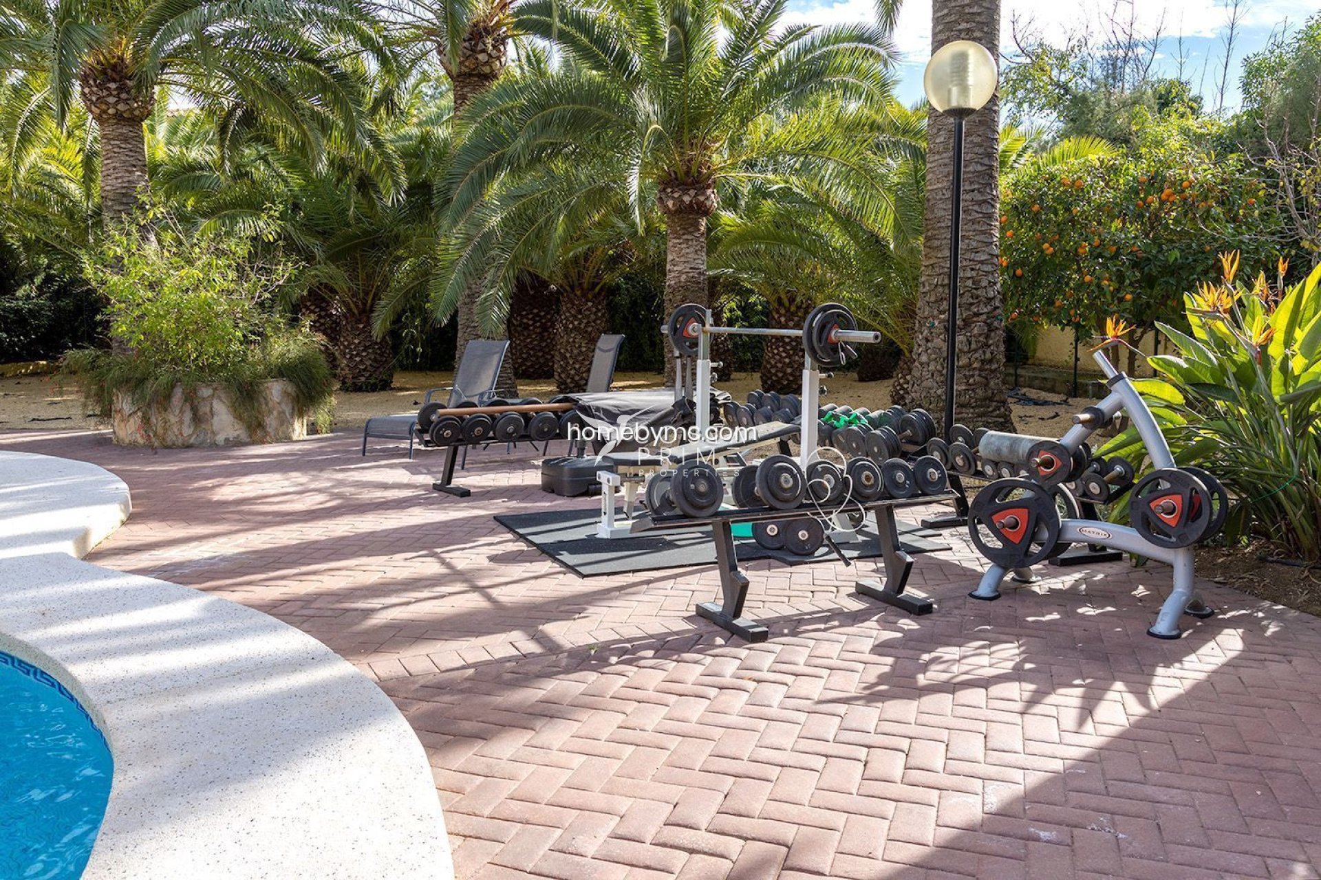 Odsprzedaż - Szalet - Alfas del Pí