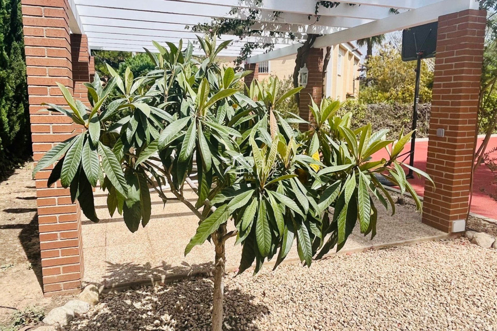 Odsprzedaż - Szalet - Benidorm