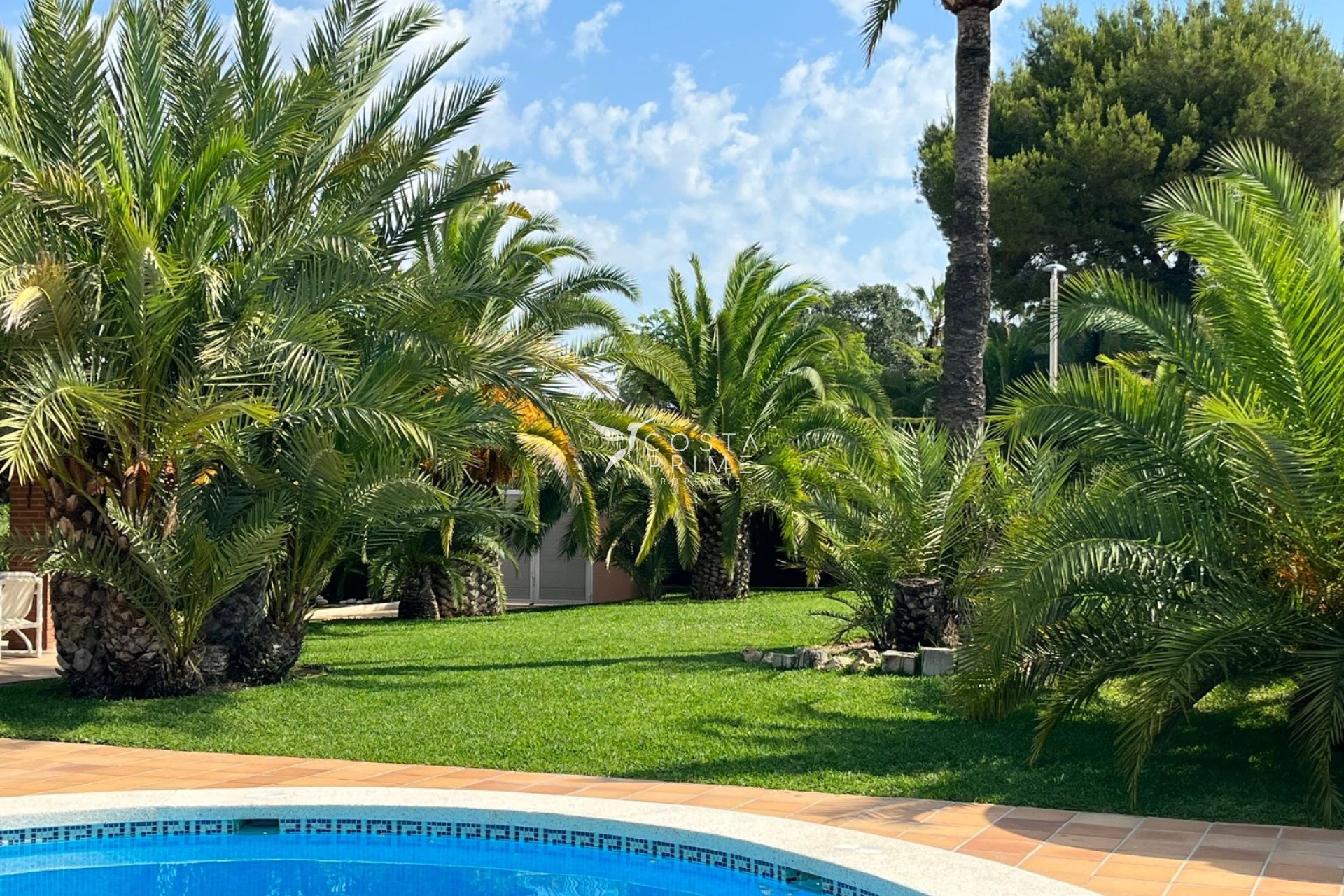 Odsprzedaż - Szalet - Benidorm