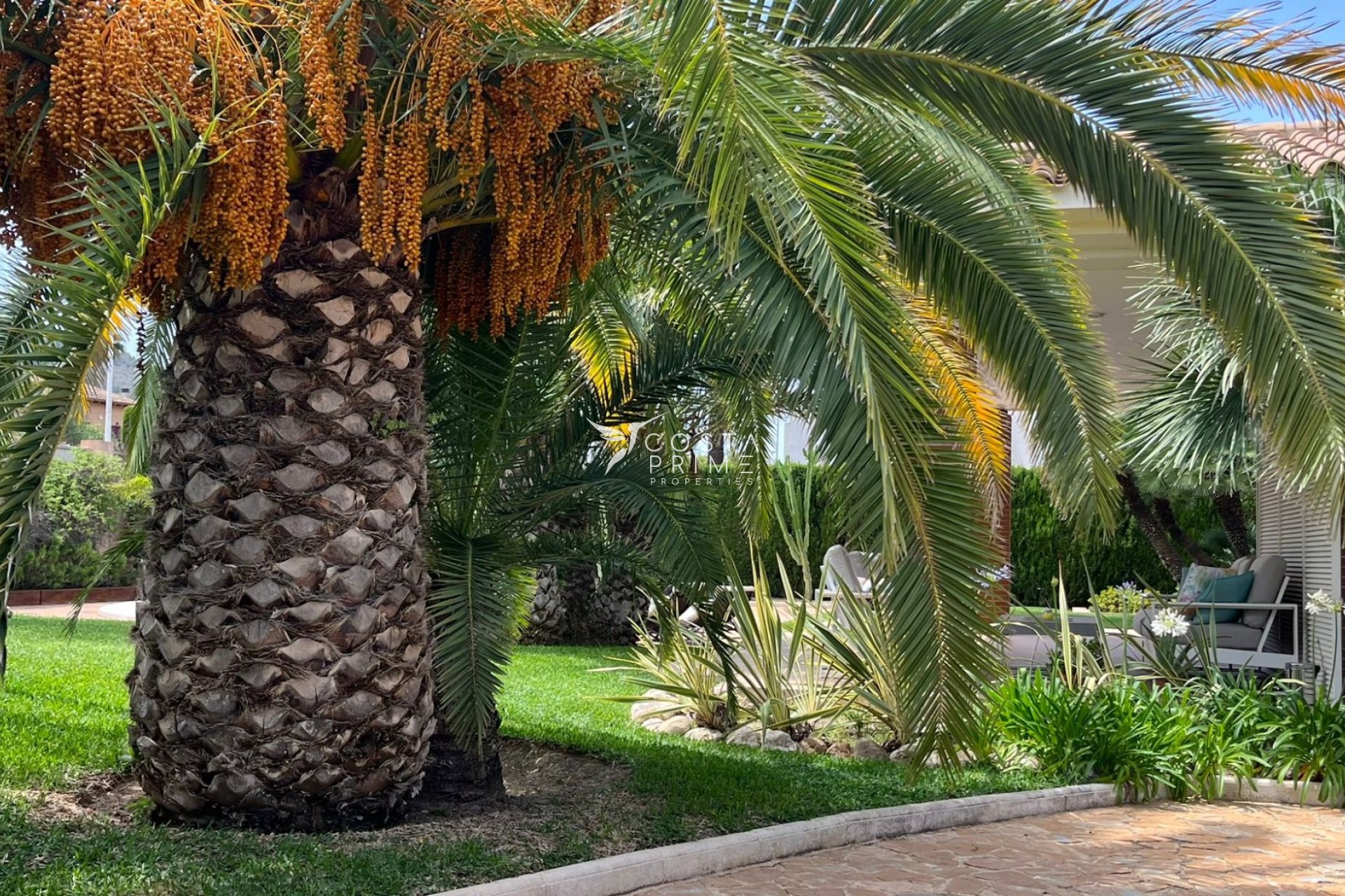 Odsprzedaż - Szalet - Benidorm