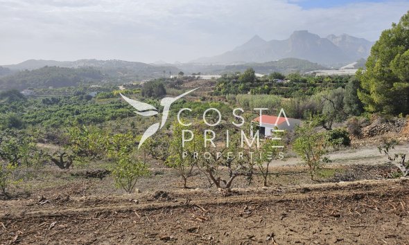 Parcela / Terreno - Reventa -
            Callosa d'en Sarrià - C-4112