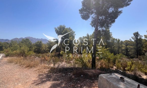 Parcela / Terreno - Reventa -
            Polop - C-99688