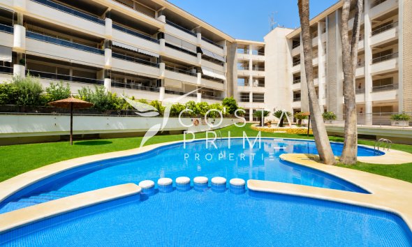 Penthouse - Resale - Albir -
                Albir