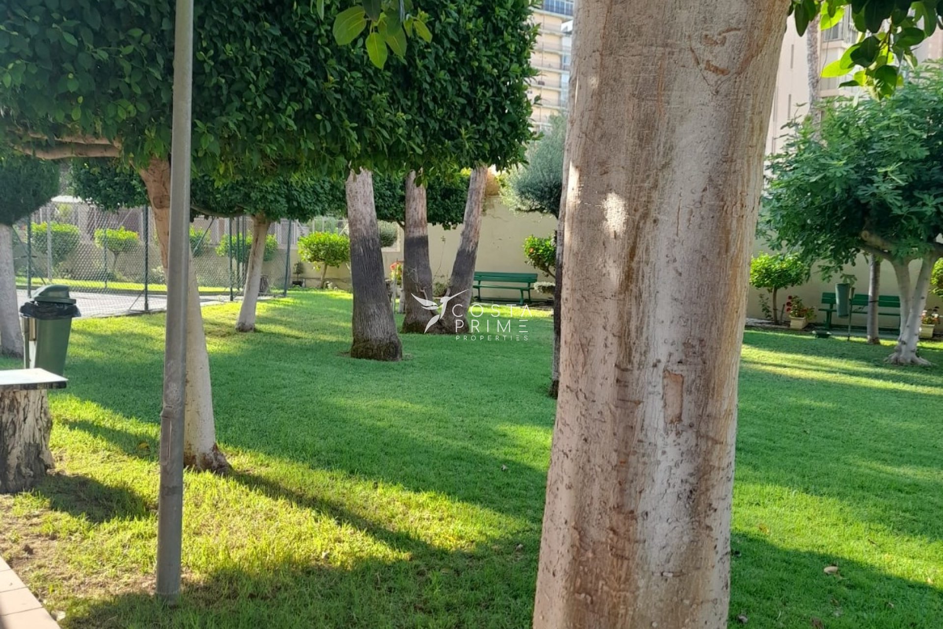 Resale - Apartment / Flat - Benidorm