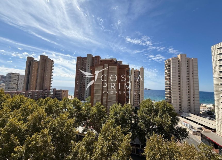 Resale - Apartment / Flat - Benidorm