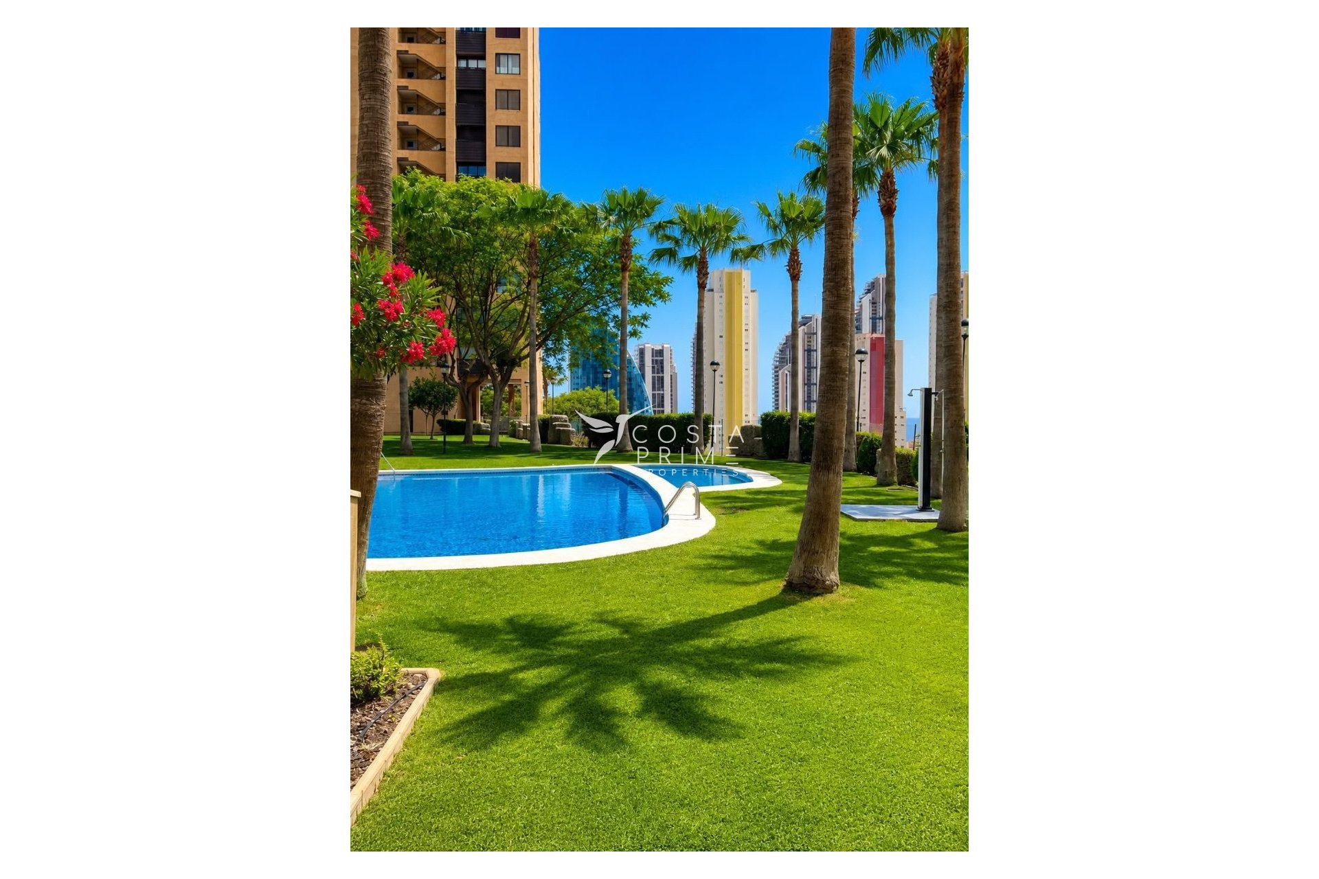 Resale - Apartment / Flat - Benidorm