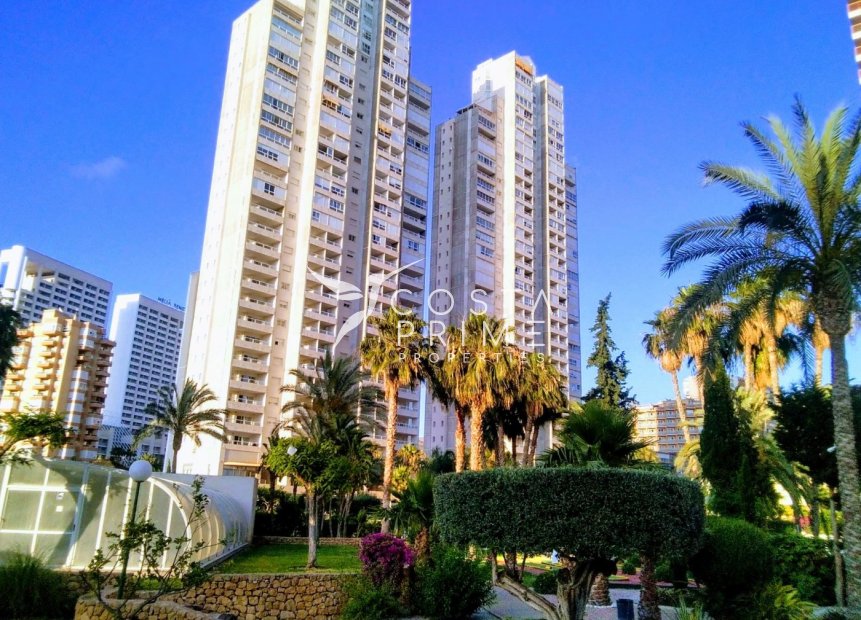 Resale - Apartment / Flat - Benidorm