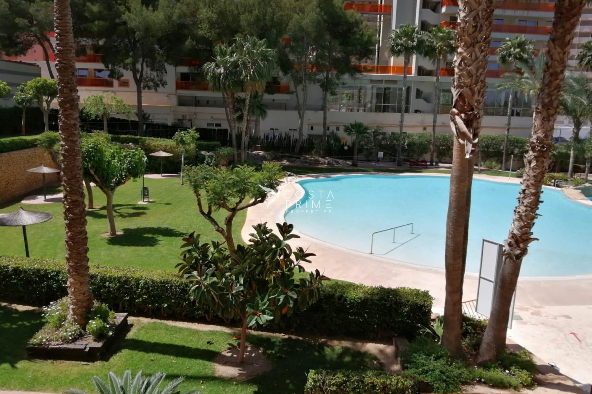 Resale - Apartment / Flat - Benidorm