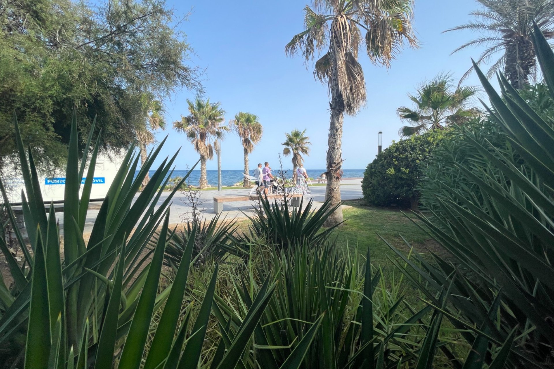 Resale - Commercial properties - Torrevieja