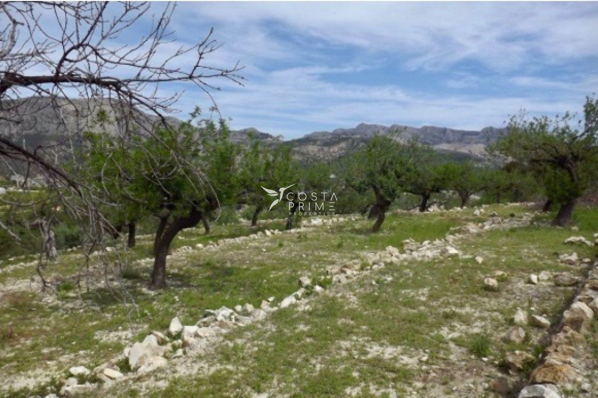 Resale - Plot / Land - Callosa d'en Sarrià