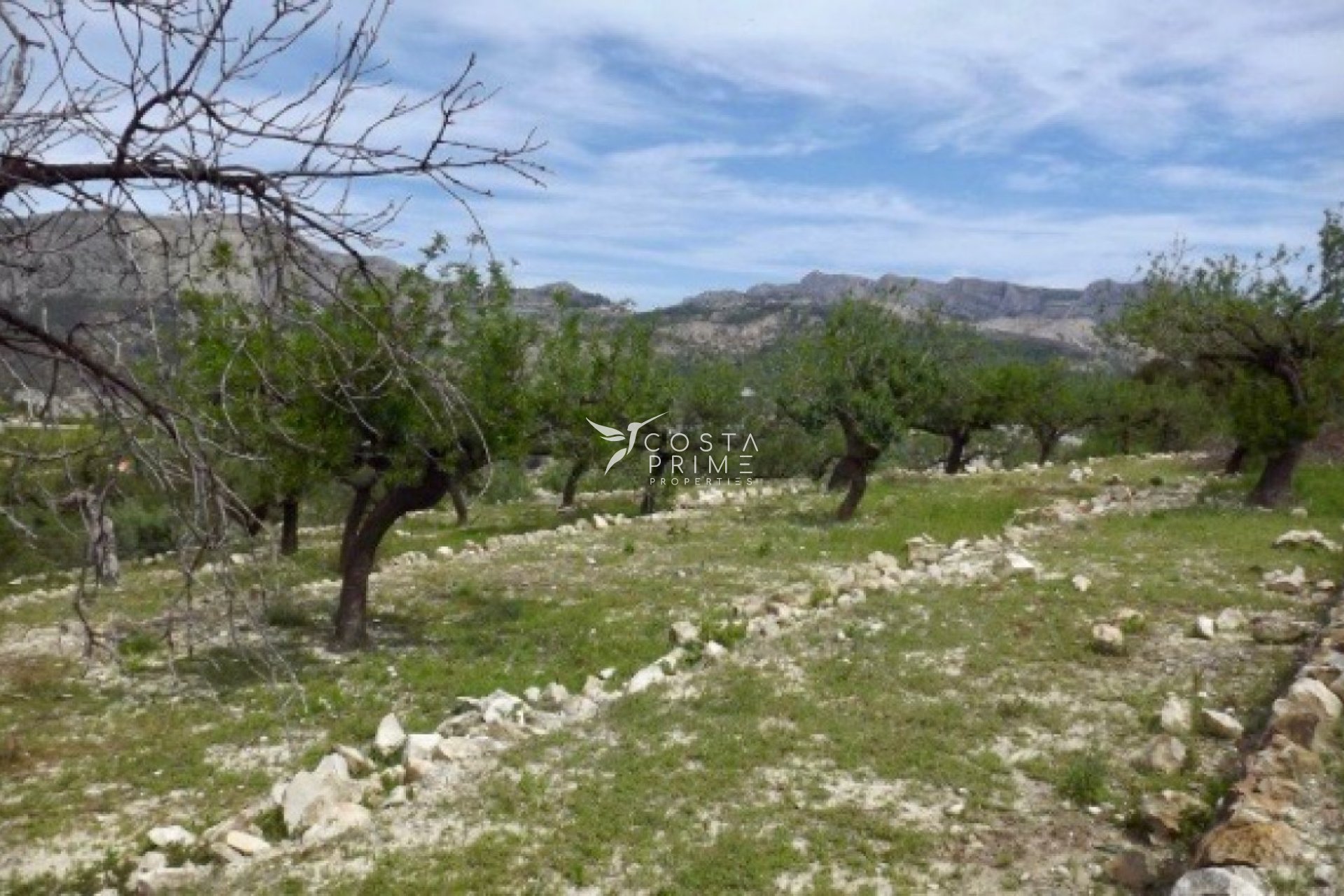 Resale - Plot / Land - Callosa d'en Sarrià