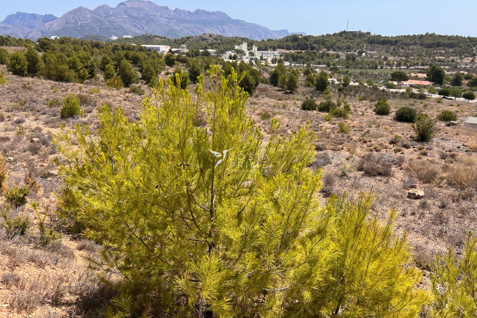 Resale - Plot / Land - Polop