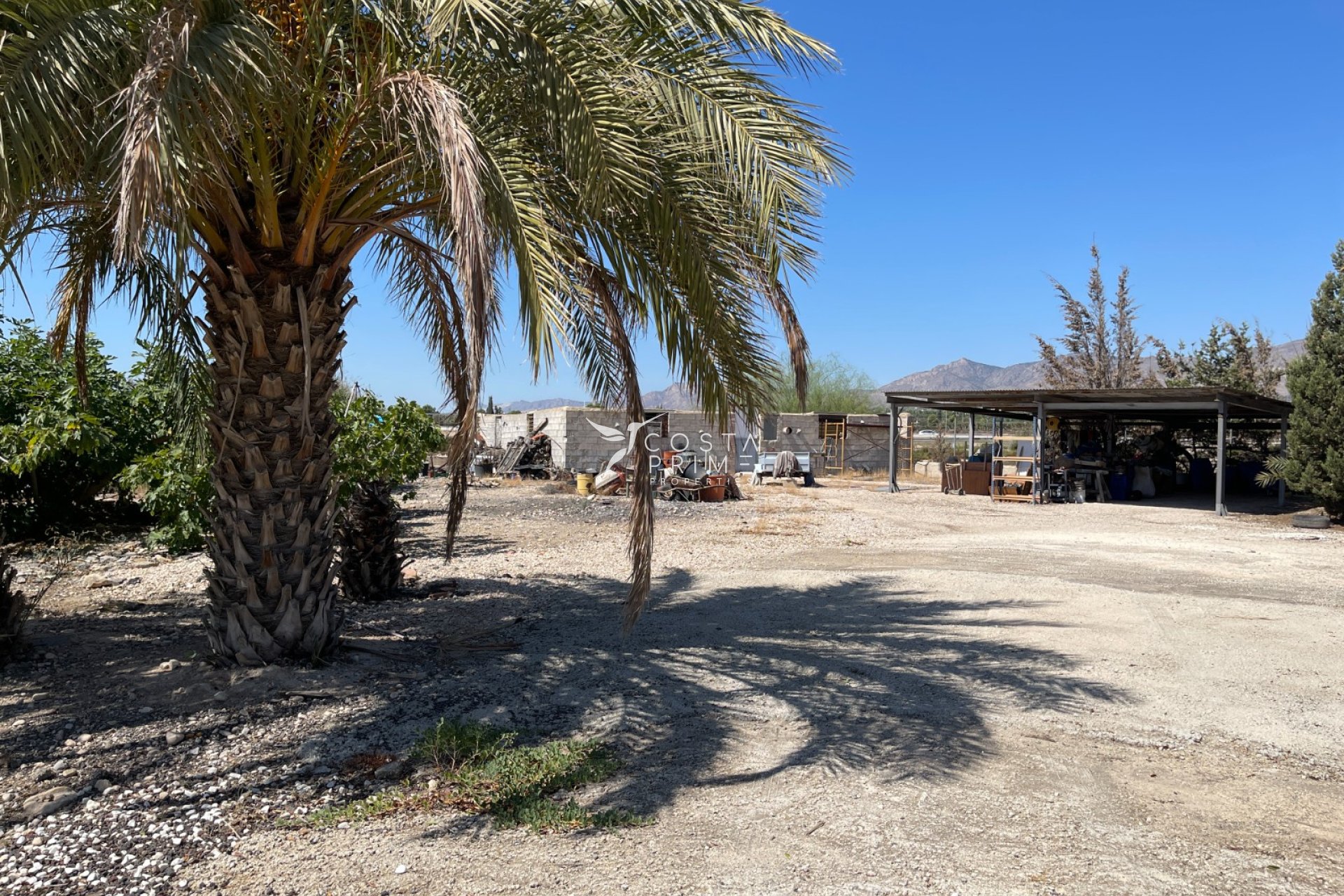 Resale - Villa  - Crevillente