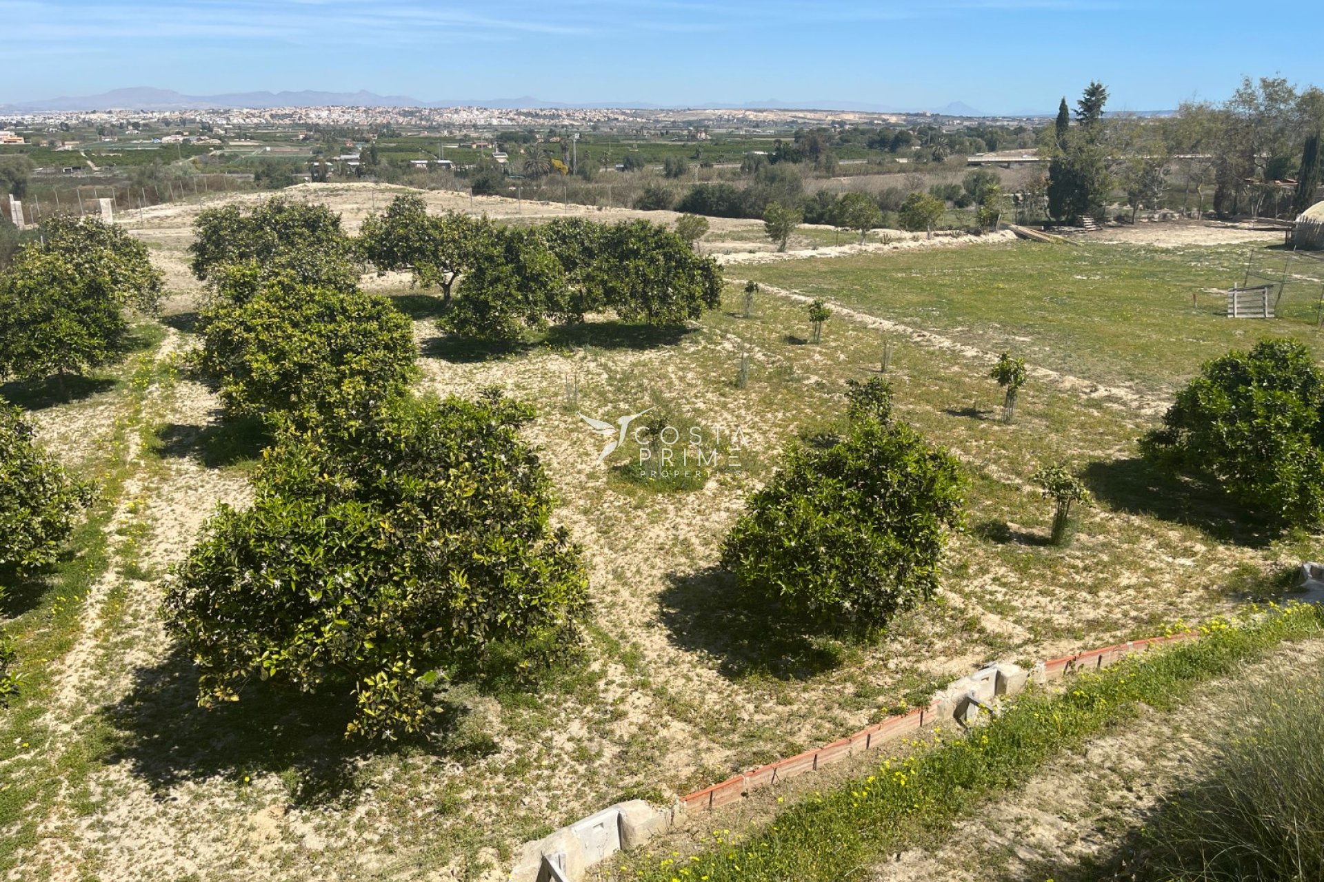Resale - Villa  - Guardamar del Segura