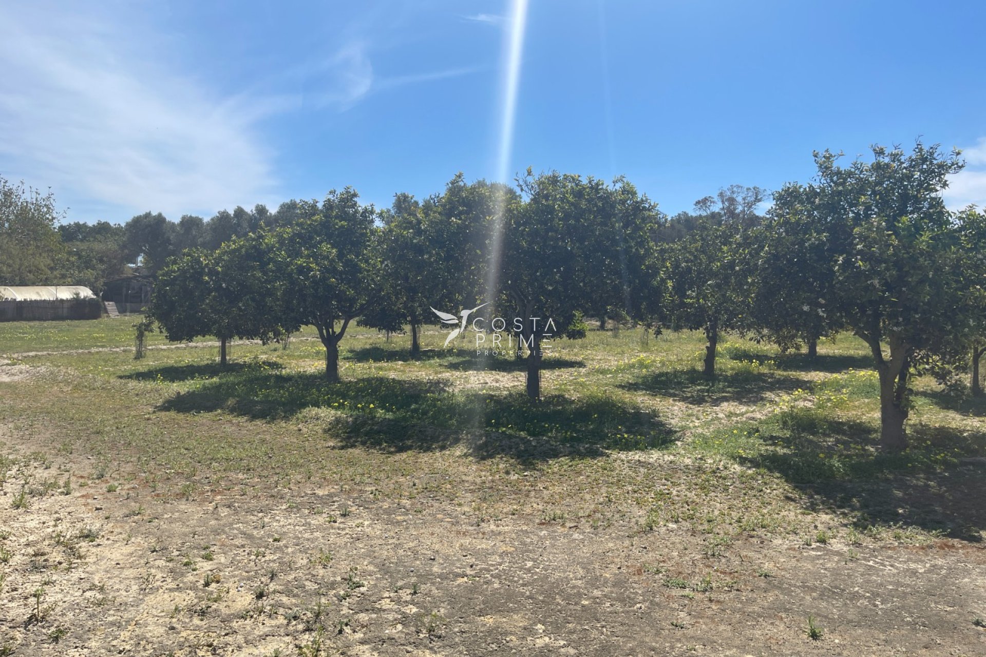 Resale - Villa  - Guardamar del Segura