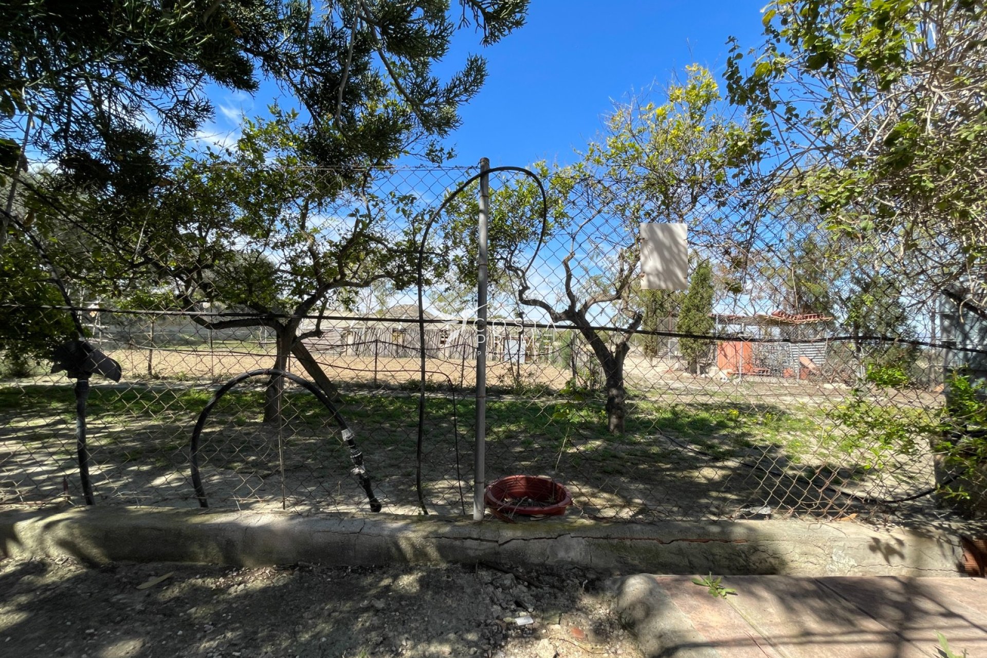 Resale - Villa  - Guardamar del Segura