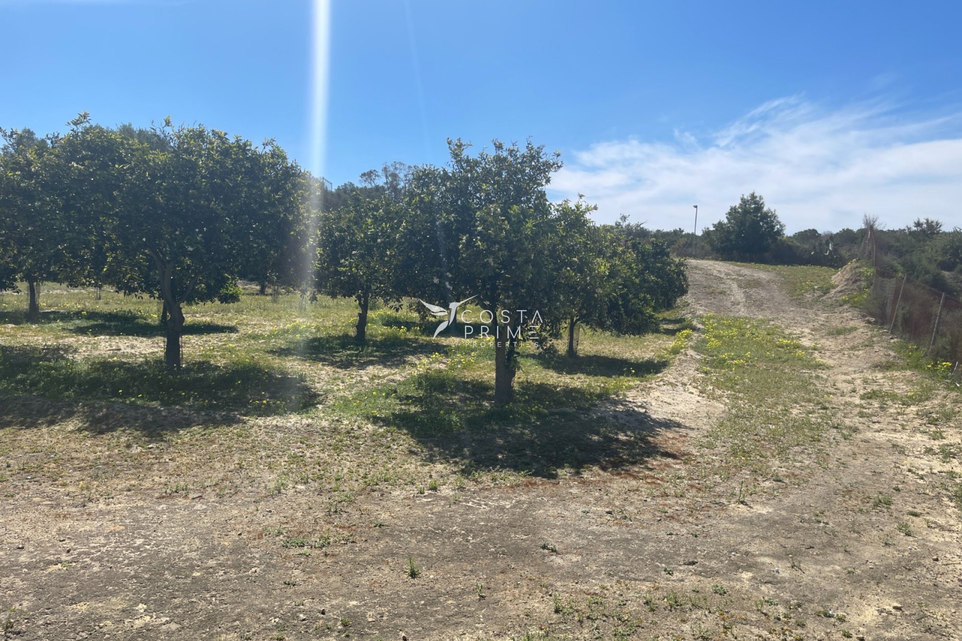 Resale - Villa  - Guardamar del Segura