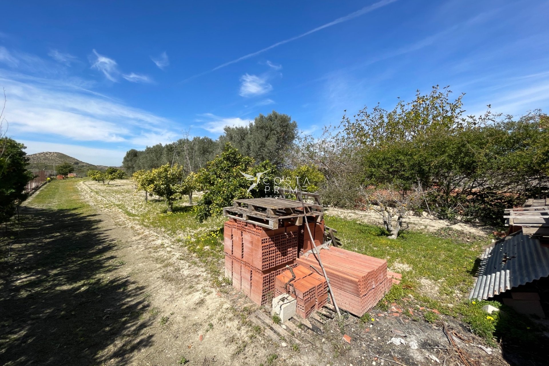 Resale - Villa  - Guardamar del Segura
