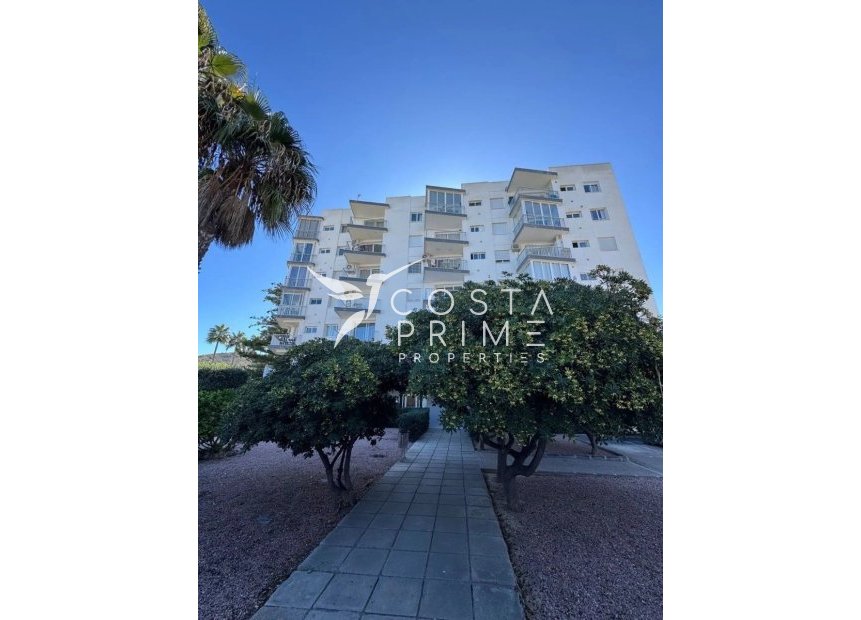 Reventa - Apartamento / Piso - Albir