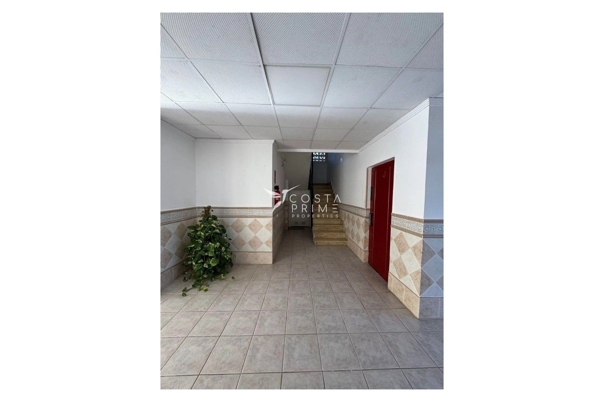 Reventa - Apartamento / Piso - Albir