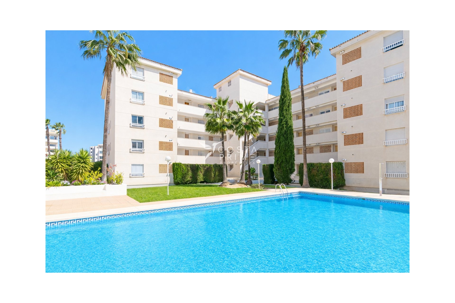 Reventa - Apartamento / Piso - Albir