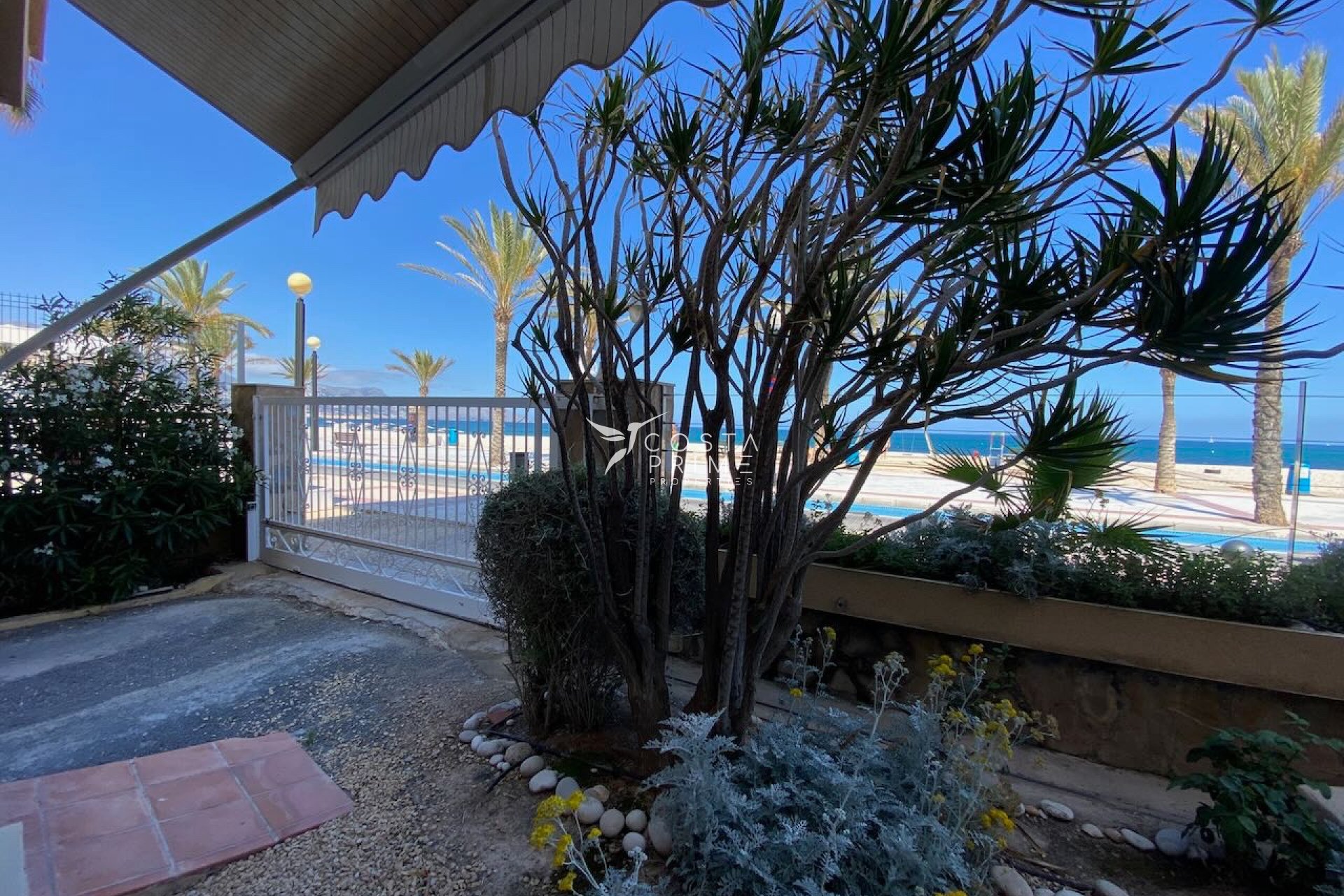 Reventa - Apartamento / Piso - Albir