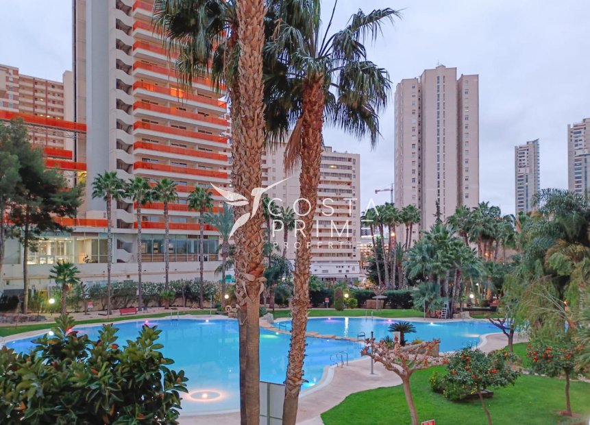 Reventa - Apartamento / Piso - Benidorm