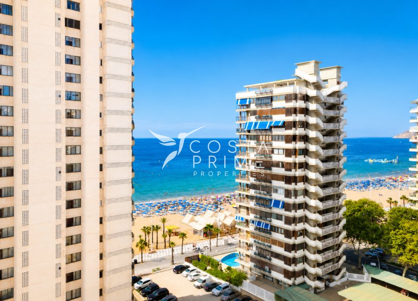 Reventa - Apartamento / Piso - Benidorm
