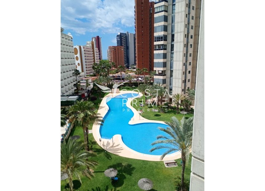 Reventa - Apartamento / Piso - Benidorm