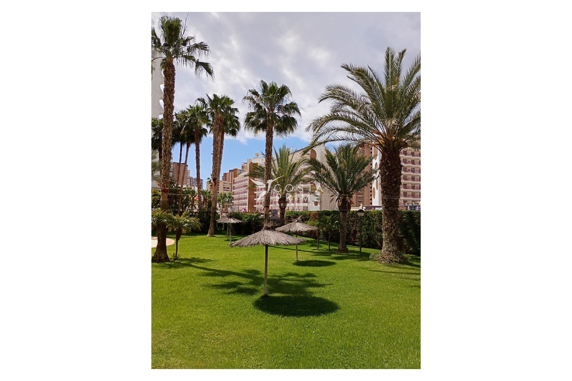 Reventa - Apartamento / Piso - Benidorm