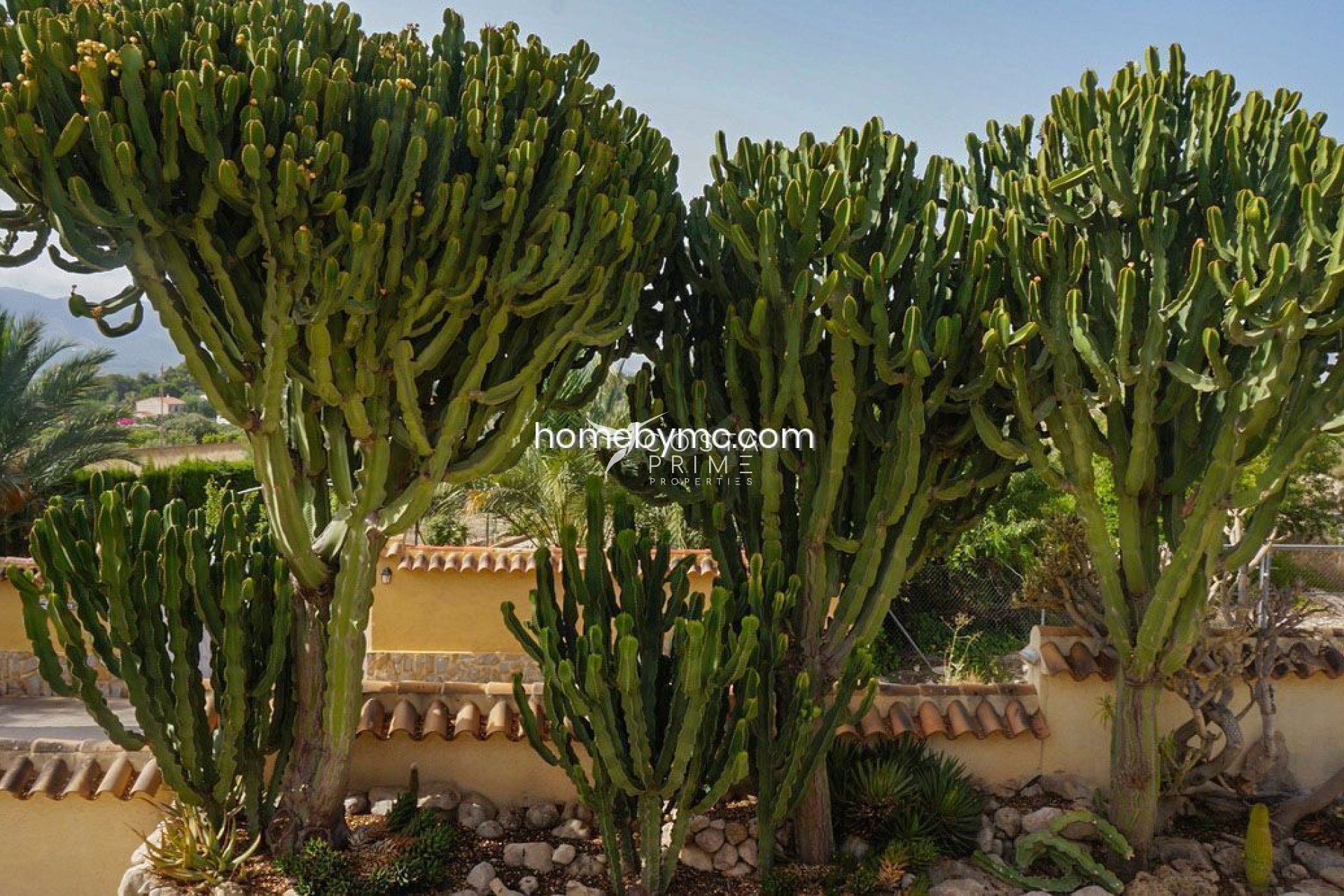 Reventa - Chalet / Villa - Alfas del Pí