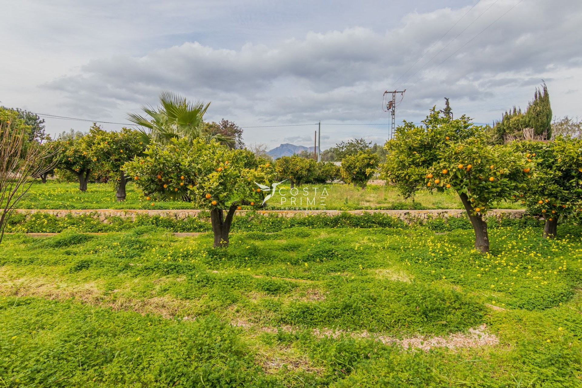 Reventa - Chalet / Villa - Altea