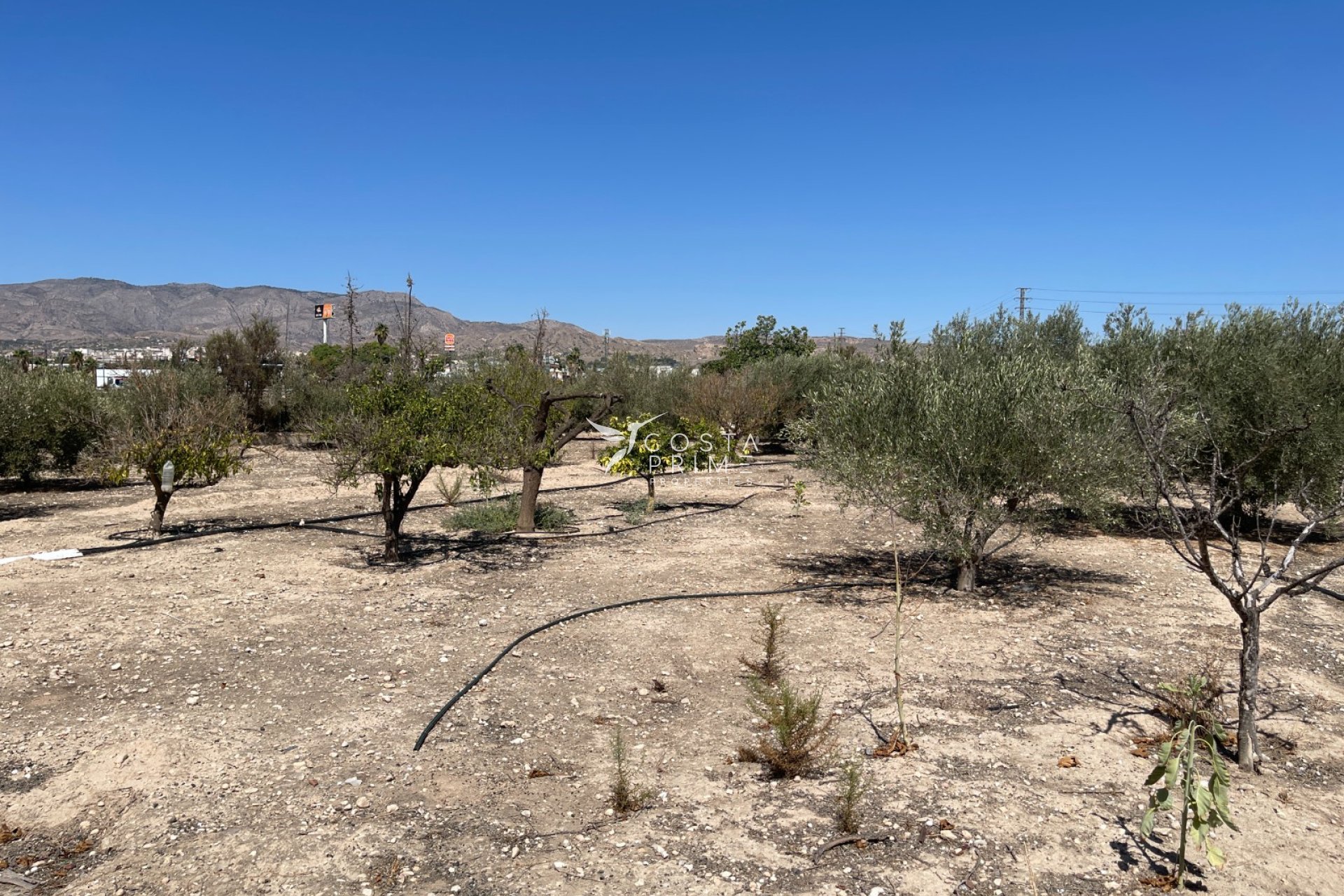 Reventa - Chalet / Villa - Crevillente