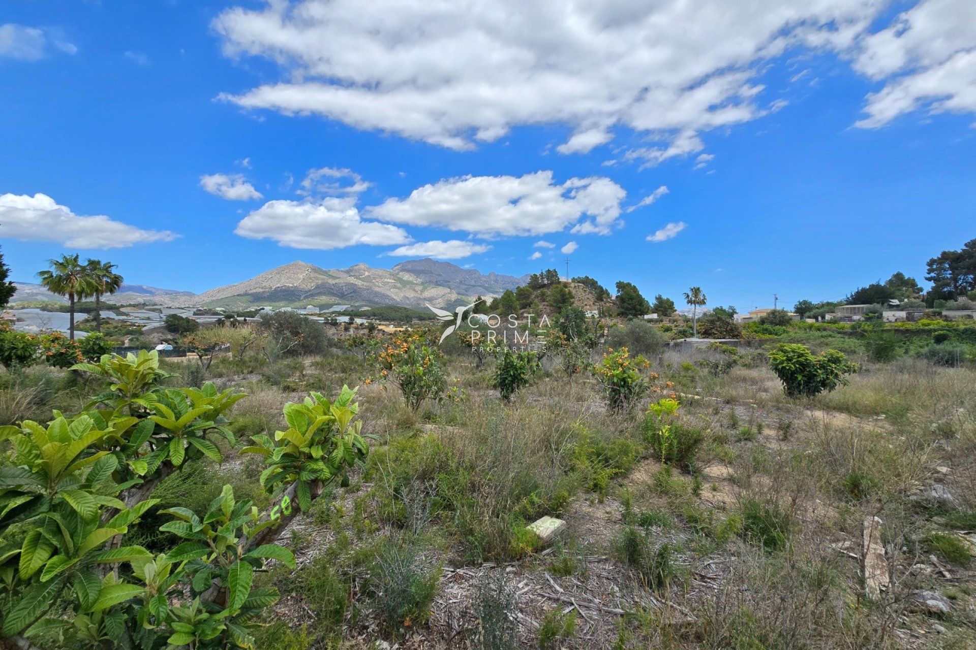 Reventa - Chalet / Villa - La Nucía