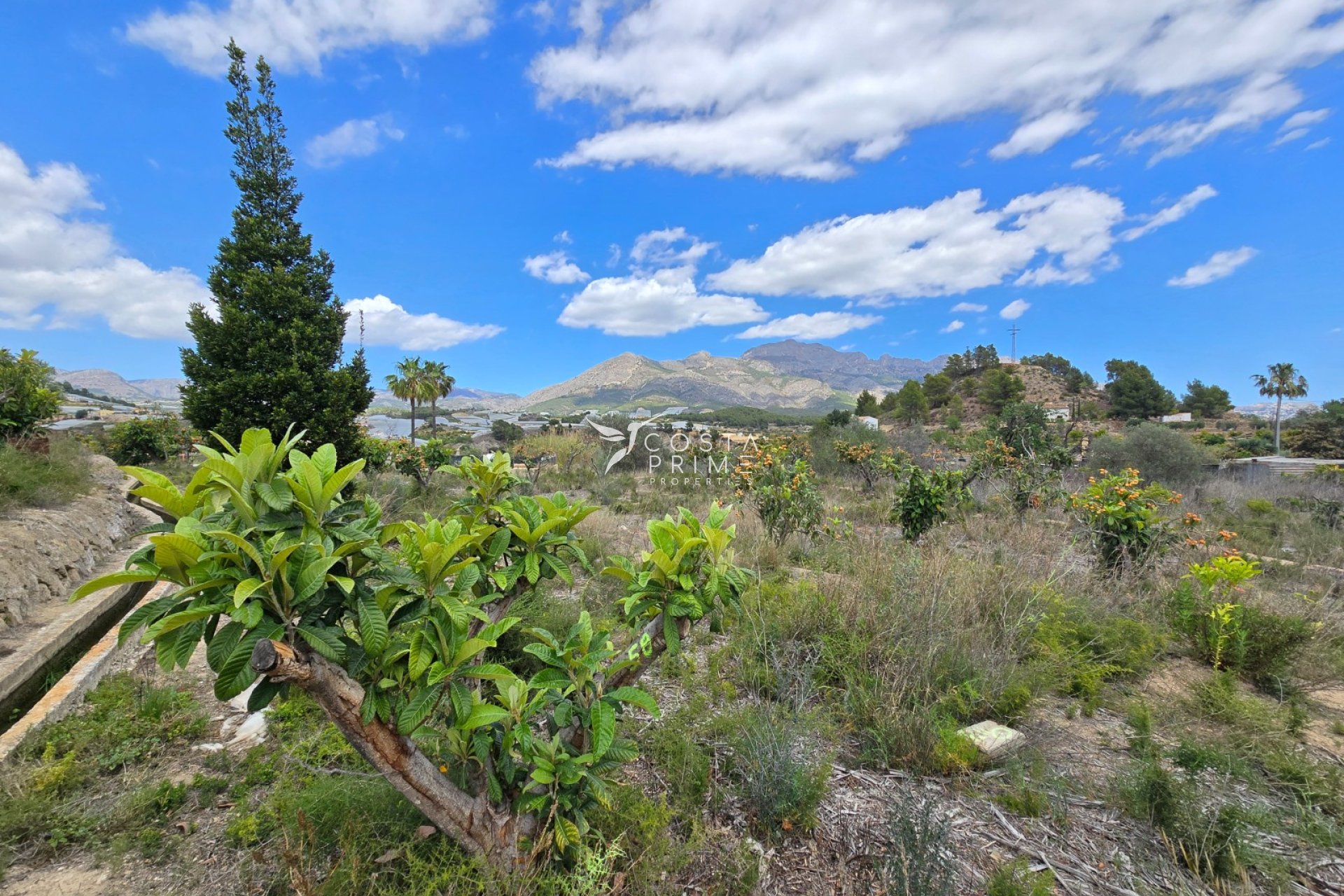 Reventa - Chalet / Villa - La Nucía