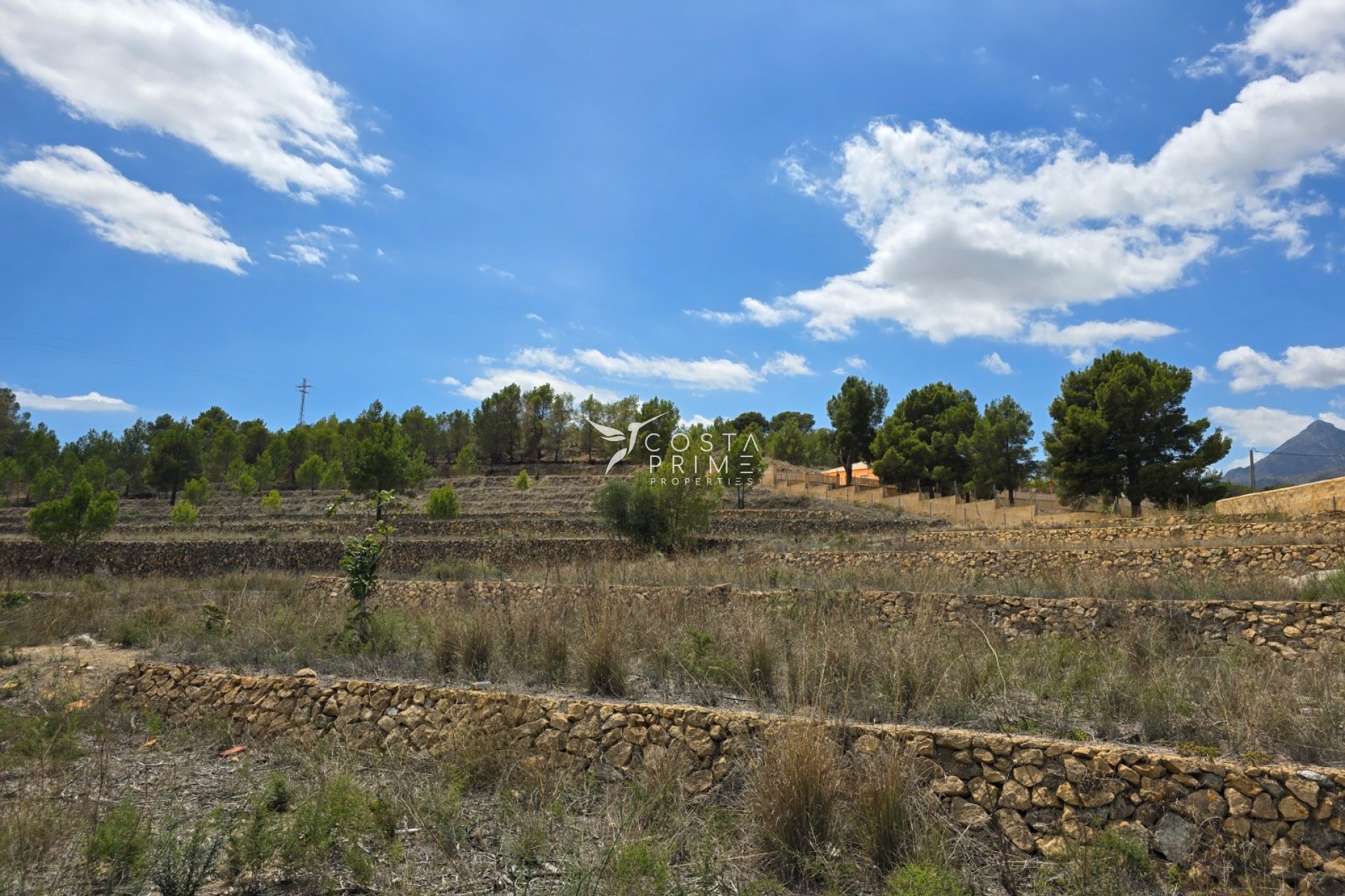 Reventa - Chalet / Villa - La Nucía